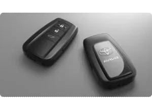 Ingreso inteligente (Smart Entry System)